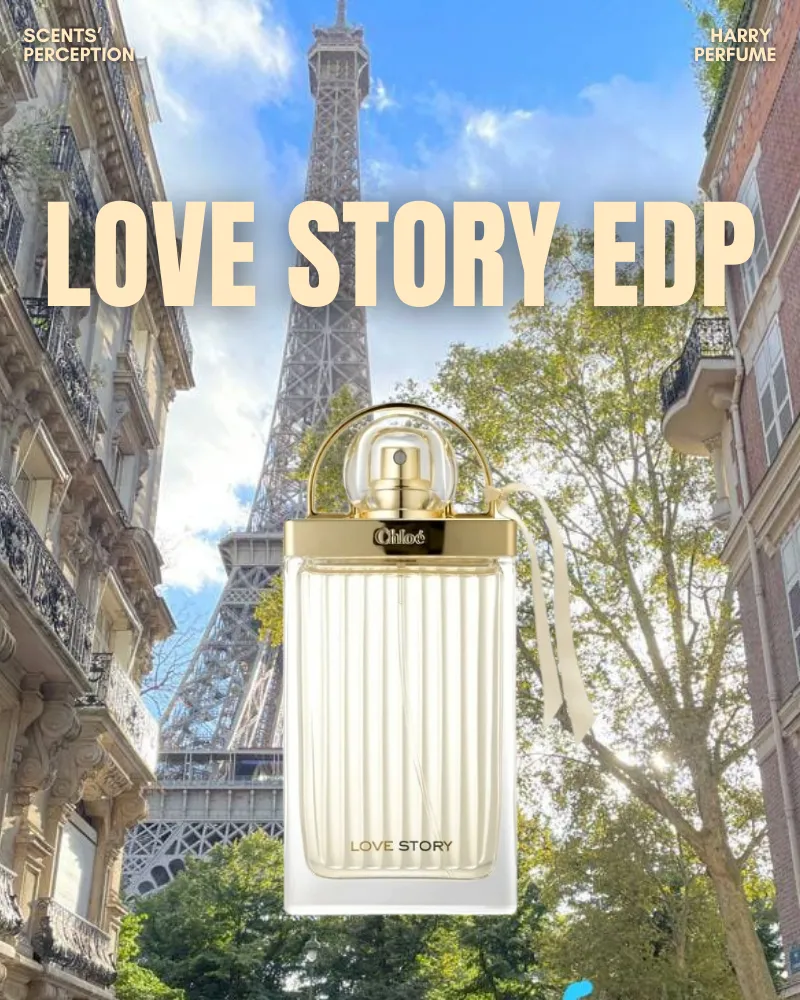 u tiên mua Chloé tại cửa hàng uy tín và đối chiếu giá từ các kênh đáng tin cậy để chọn đúng sản phẩm, đúng giá.