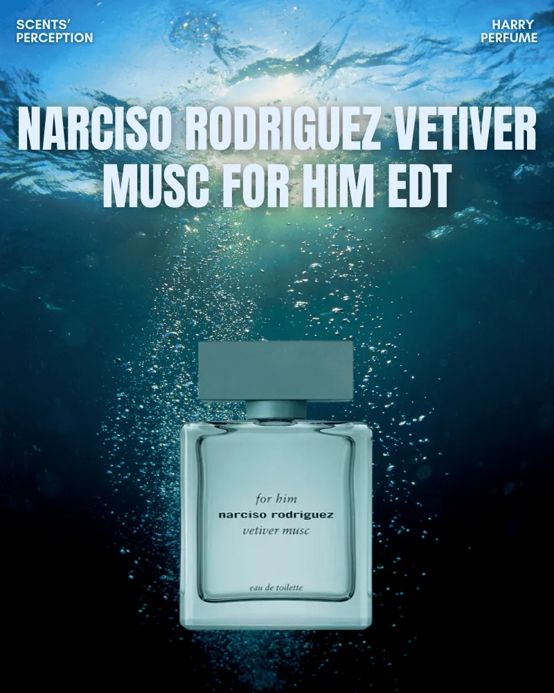 Narciso Rodriguez phù hợp nhiều nhu cầu và mang đến trải nghiệm đẳng cấp cho mọi phong cách