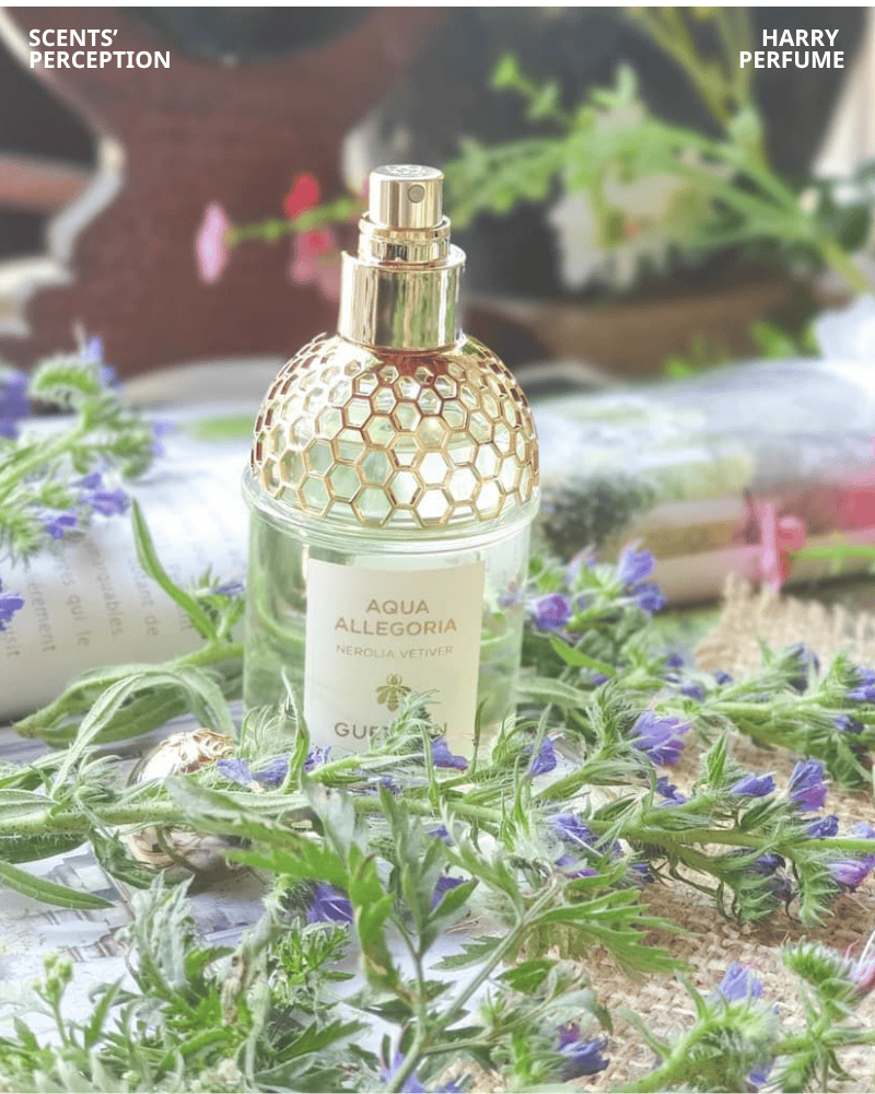 Hương mở đầu tươi sáng bergamot, fig mềm mại; giữa neroli sạch hòa vetiver xanh; cuối musk ấm, nhẹ, tinh tế, dễ chịu