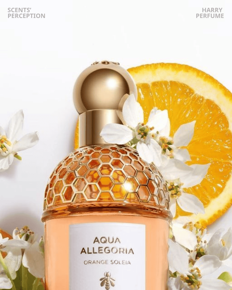 Orange Soleia tái hiện hương cam đỏ Sicily rực nắng, tươi mát, mọng nước, lan tỏa năng lượng mùa hè Địa Trung Hải