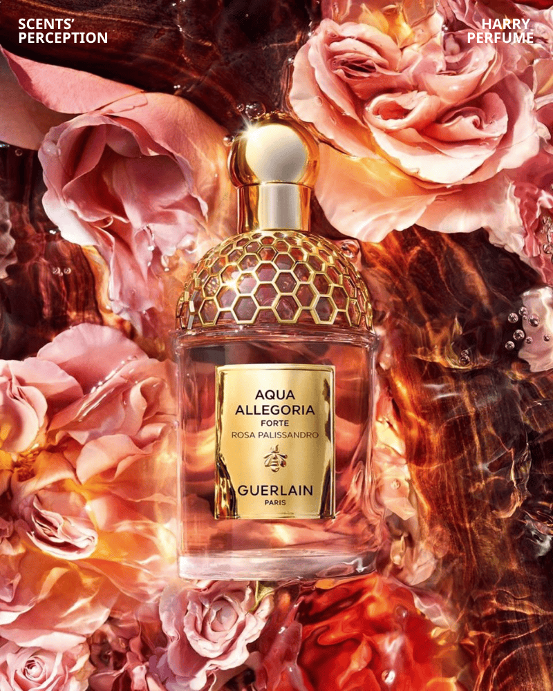 Guerlain Rosa Palissandro Forte EDP 2023 mang hương hoa hồng – gỗ cay thanh lịch, unisex, bám tỏa tốt, lấy cảm hứng hoàng hôn.