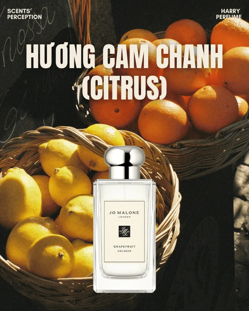 Nhóm hương Citrus luôn là lựa chọn lý tưởng dành cho những tâm hồn yêu sự tươi mới, thanh sạch và nguồn năng lượng trong trẻo