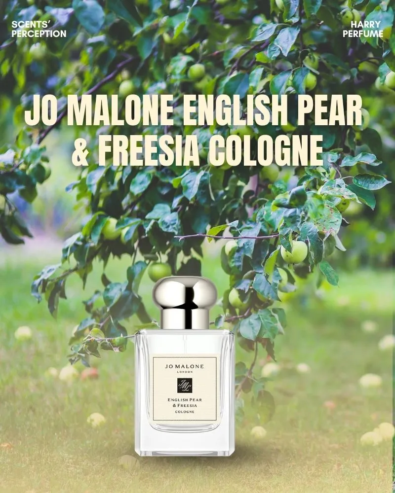 English Pear & Freesia gợi ký ức mùa thu nước Anh: lê chín ngọt thanh hòa cùng hoa Freesia trắng e ấp