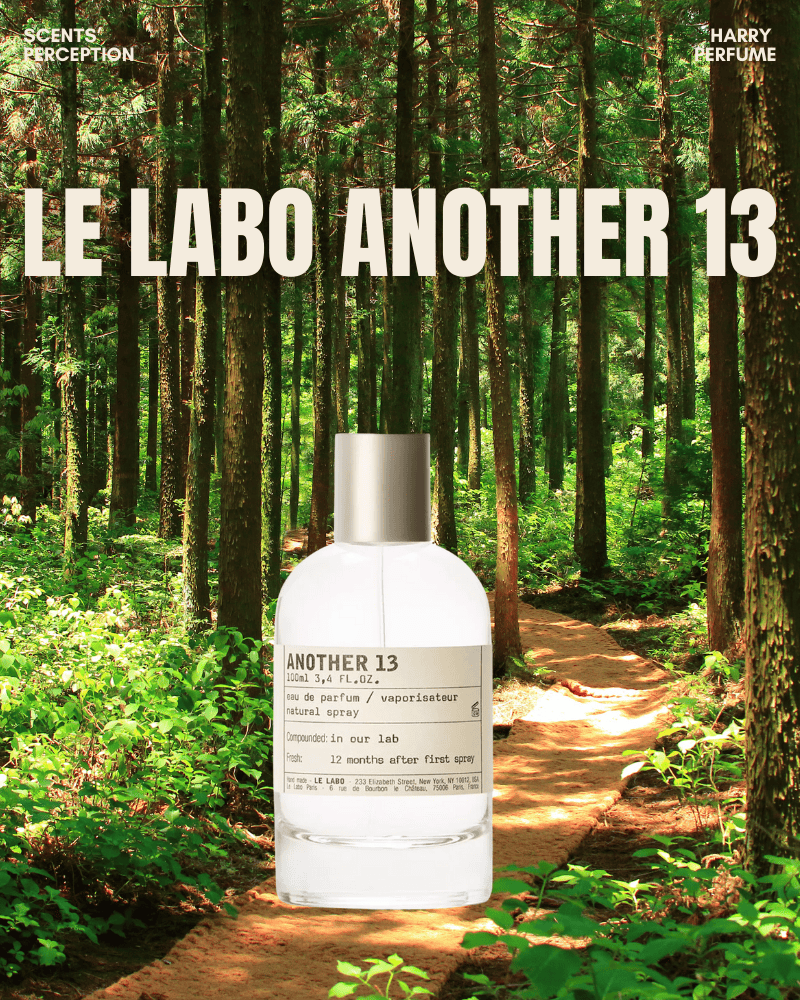 Another 13 là mùi hương của da thịt, nơi khoảng cách giữa hai người gần đến mức không cần lời nói.