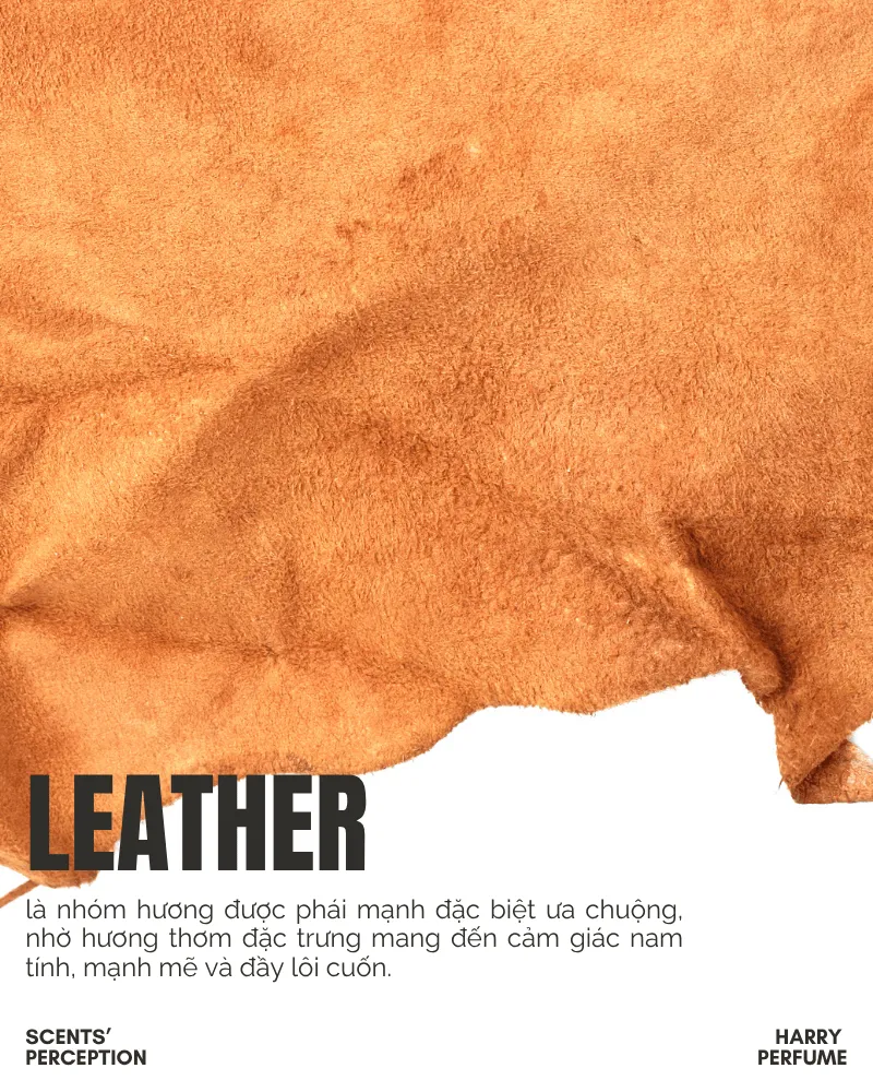 Leather là nhóm hương được phái mạnh đặc biệt ưa chuộng, nhờ hương thơm đặc trưng mang đến cảm giác nam tính, mạnh mẽ và đầy lôi cuốn