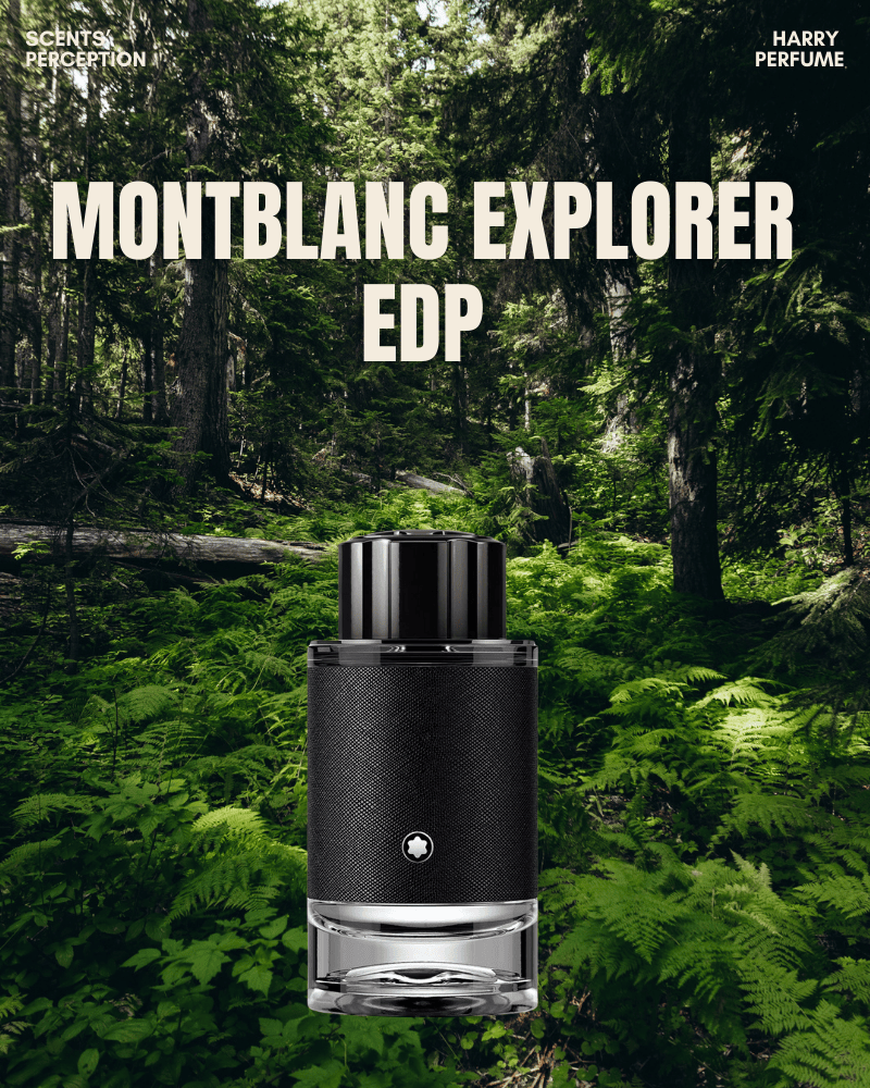 Tầng hương mở đầu bừng sáng với Cam Bergamot Ý, Tiêu hồng và Xô thơm, mang đến cảm giác tươi mới, sắc sảo và đầy bản lĩnh