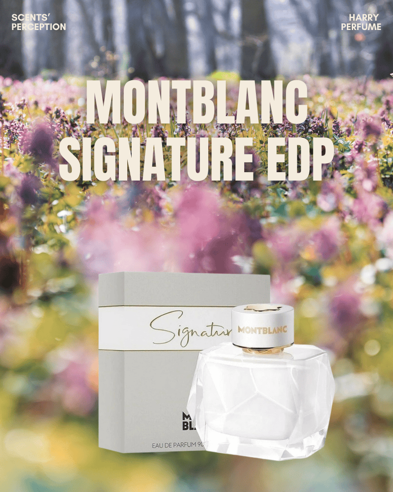 Signature Eau de Parfum là dấu ấn mềm mại của hoa trắng, vanilla ấm áp và xạ hương mịn màng.
