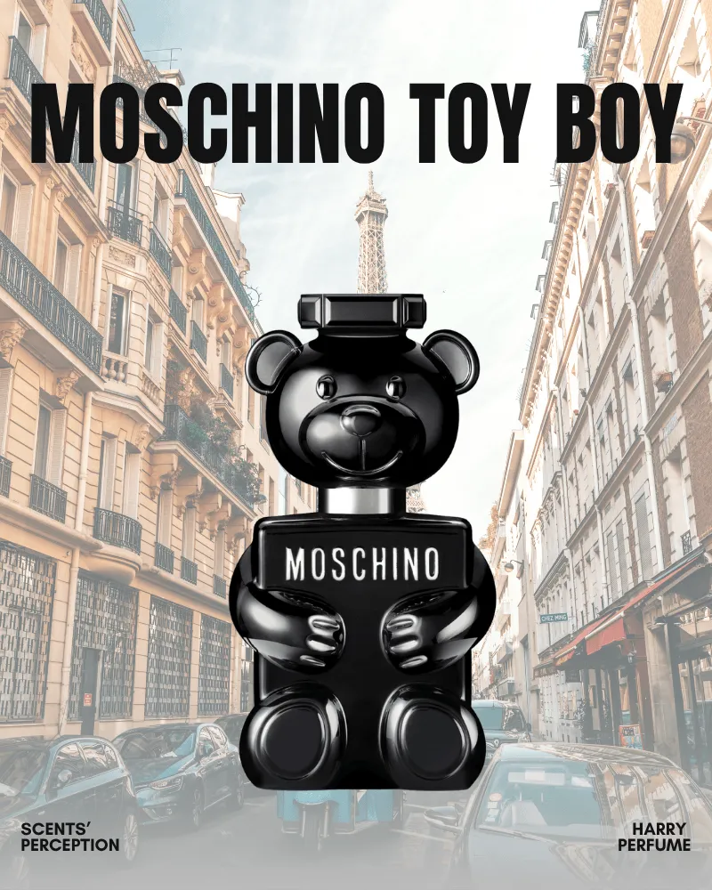 Thiết kế chú gấu đen bóng mang đậm dấu ấn Moschino, ẩn chứa hương cam Bergamot, hoa hồng và gỗ đàn hương