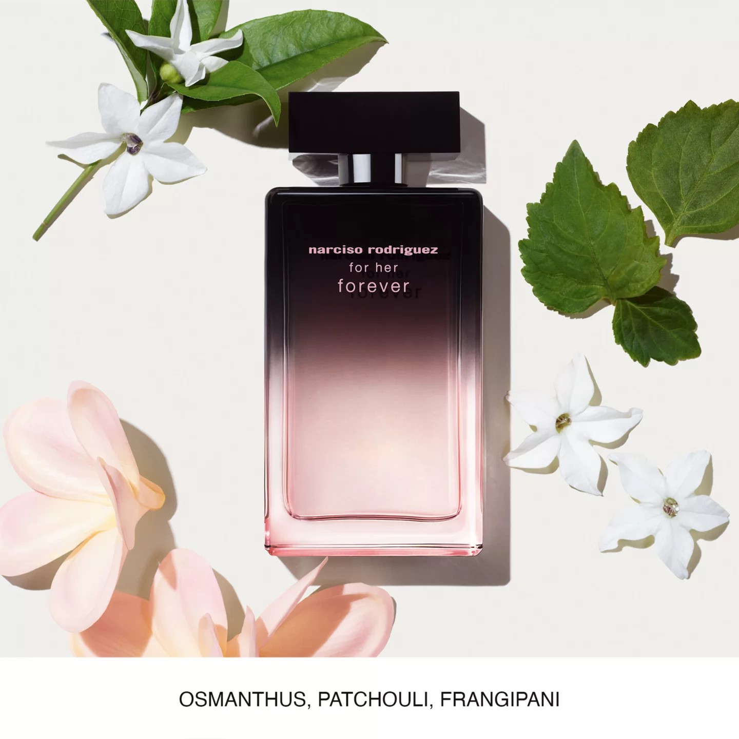 Narciso For Her Forever | Harry Perfume