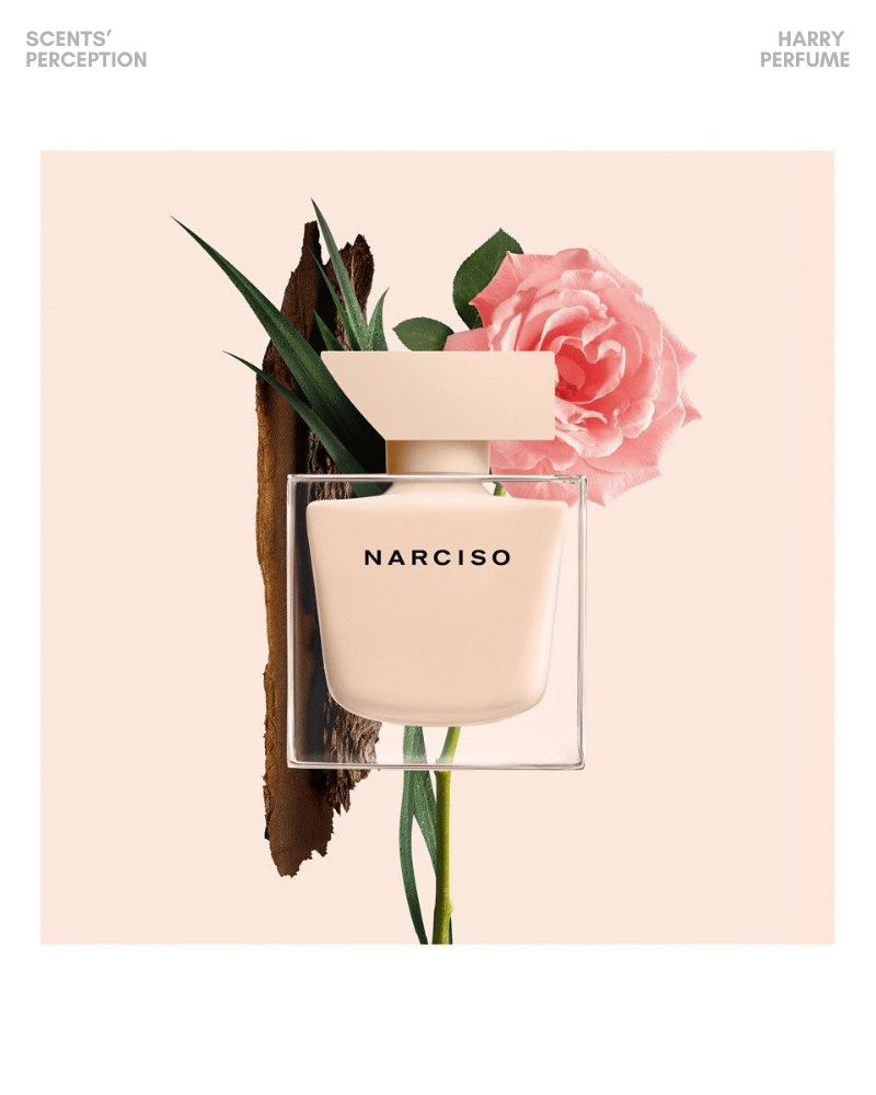 Narciso Poudrée nổi bật với mùi hương phấn mềm mại từ hoa hồng, nhài, xạ hương, mang phong cách nữ tính, thanh lịch, tinh tế.