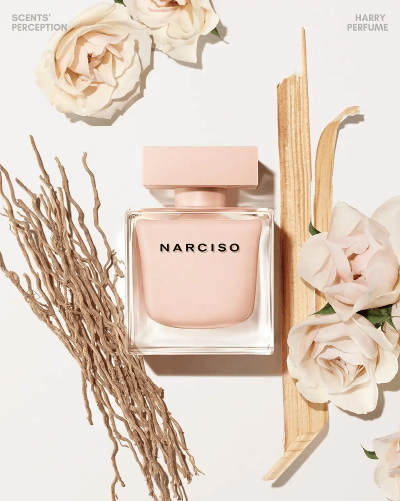 Narciso Poudree EDP mở đầu bằng hương hoa trắng và hoa hồng mềm mại, chuyển sang lớp xạ hương phấn mịn ôm sát da đầy nữ tính