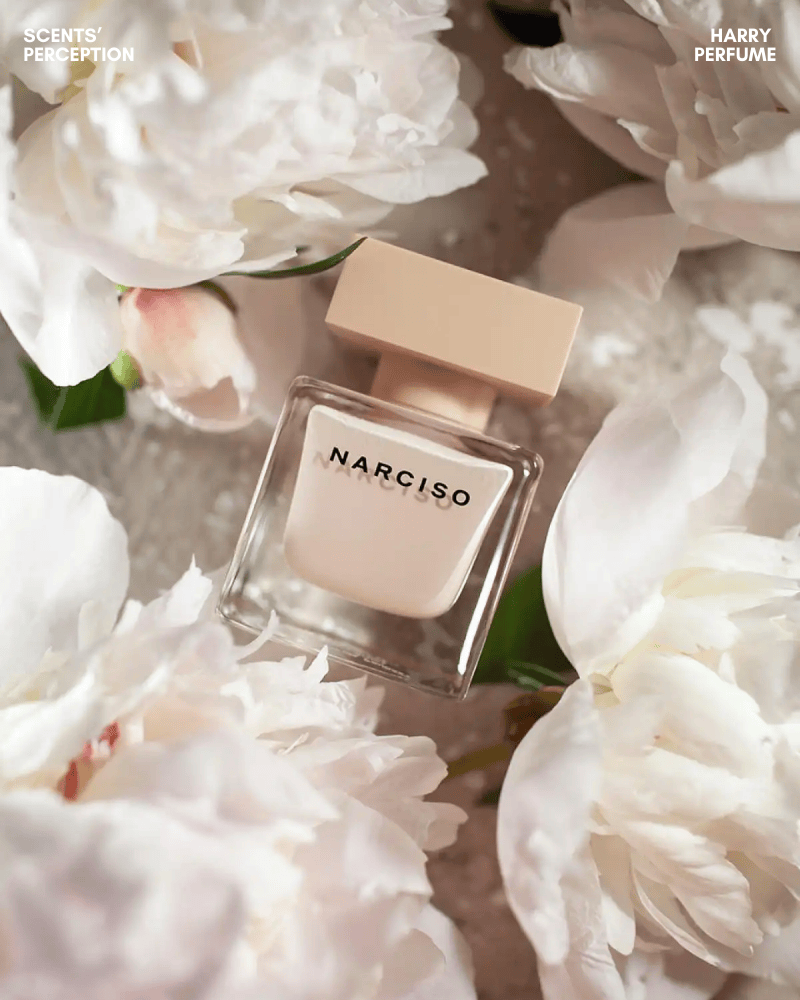 Narciso Rodriguez Poudree EDP sở hữu thiết kế vuông vức tối giản với gam màu nude–beige mềm mại