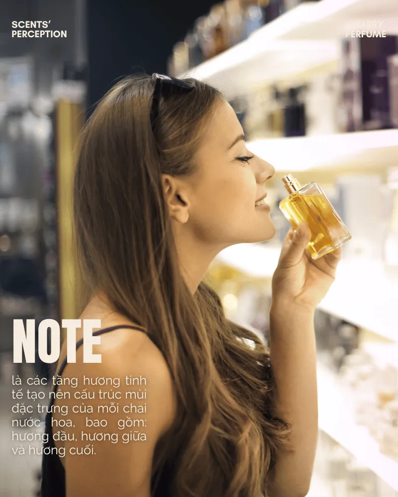 Note là các tầng hương tinh tế tạo nên cấu trúc mùi đặc trưng của mỗi chai nước hoa