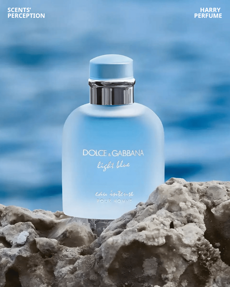 Dolce & Gabbana Light Blue Eau Intense mang hương biển Địa Trung Hải tươi mát, nam tính, hợp chàng trai năng động mùa hè.