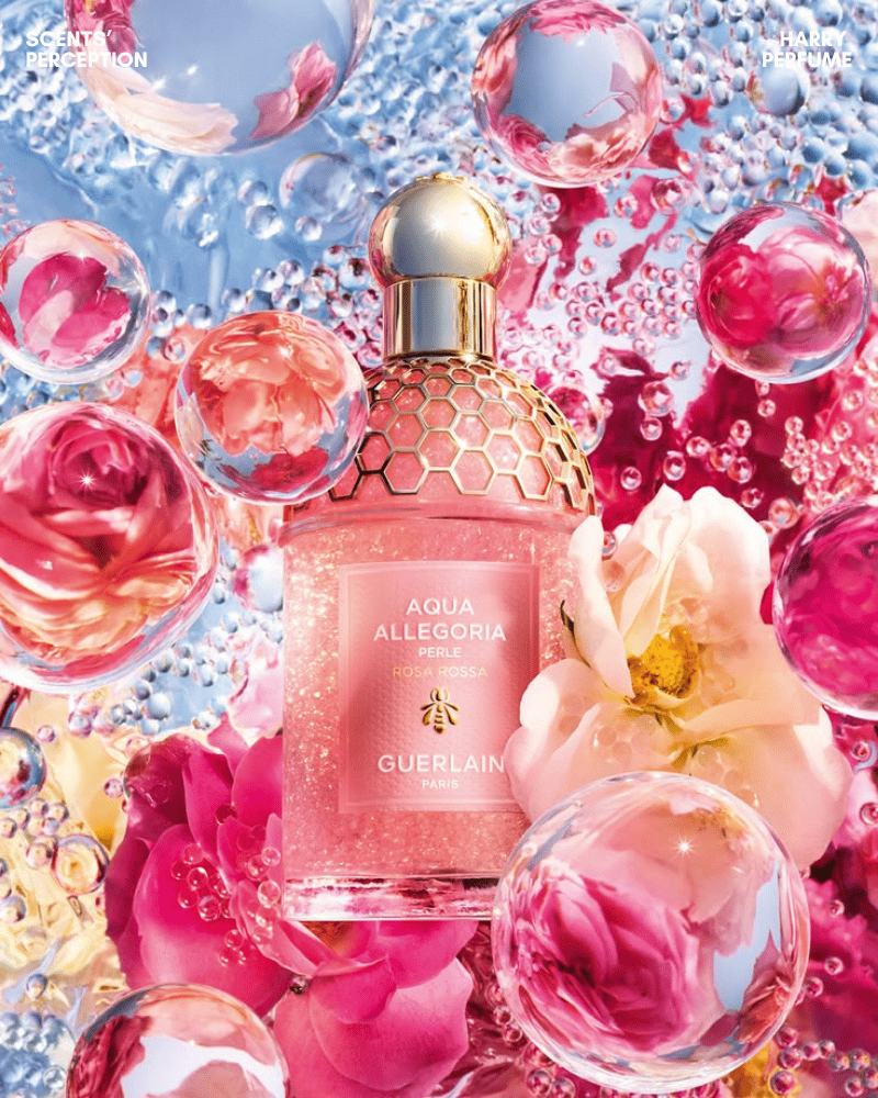 Rosa Rossa hòa quyện hoa hồng, trái cây mọng cùng gỗ đàn hương, tạo phong cách trẻ trung, nữ tính