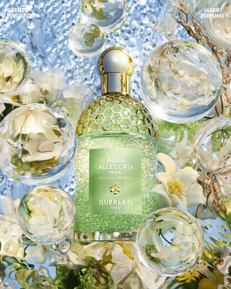 Nerolia Vetiver hòa quyện hoa cam, bergamot, húng quế và cỏ hương bài, tạo cảm giác xanh mát, thanh sạch.