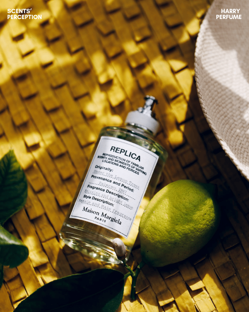 Lime tươi mọng, petitgrain xanh khô và bạch đậu khấu cay mát tạo mở đầu citrus chân thực, cân bằng.
