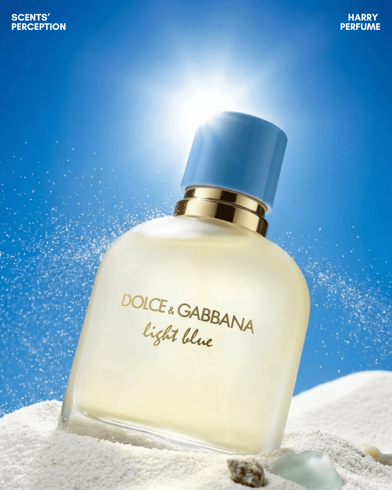 D&G Light Blue Pour Homme EDT mang hương cam chanh biển mát, sạch, nam tính, dễ dùng, lý tưởng cho mùa hè nóng ẩm