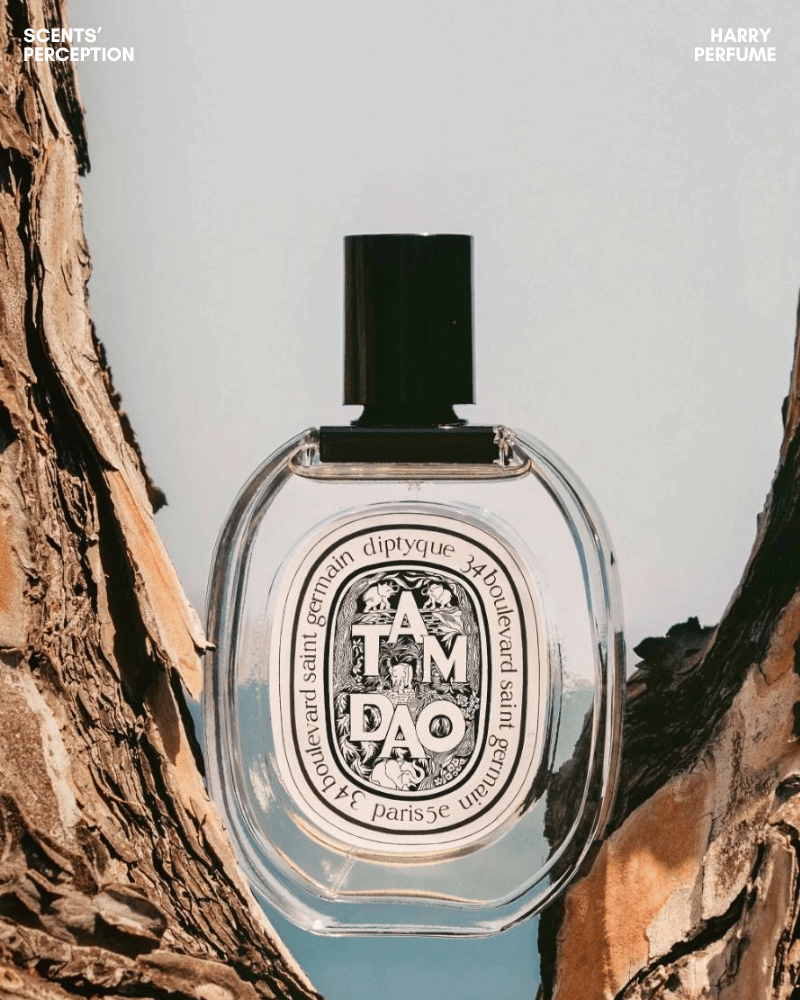 Diptyque Tam Dao EDP nổi bật gỗ đàn hương mềm, creamy, xanh nhẹ, tối giản, unisex và rất dễ chịu.