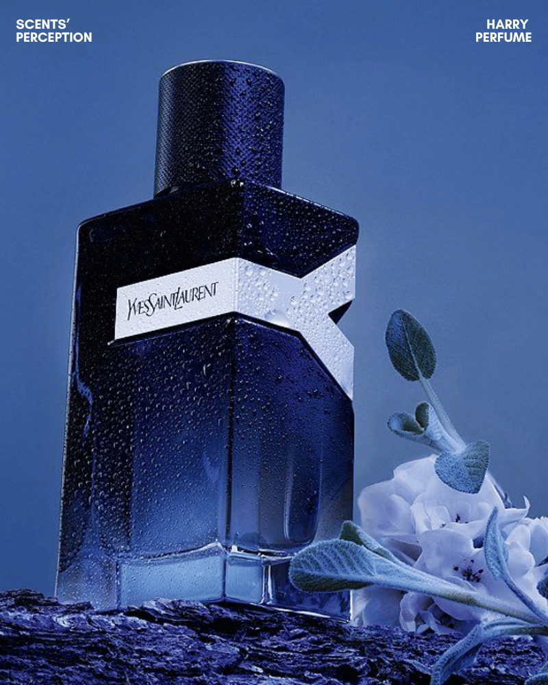 YSL Y EDP dành cho nam giới hiện đại, sạch sẽ, tự tin, dễ dùng đi làm hoặc hẹn hò.