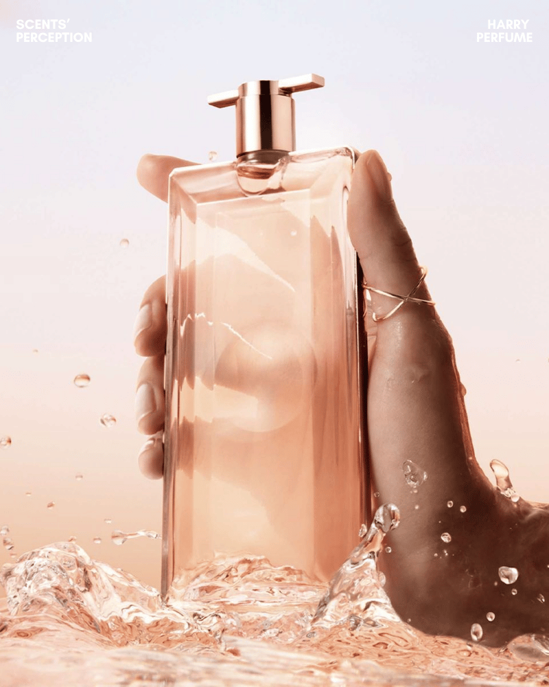 Idôle nhẹ, sạch và hiện đại hơn Miracle cay gia vị, Trésor ngọt phấn, phù hợp người thích hoa hồng.