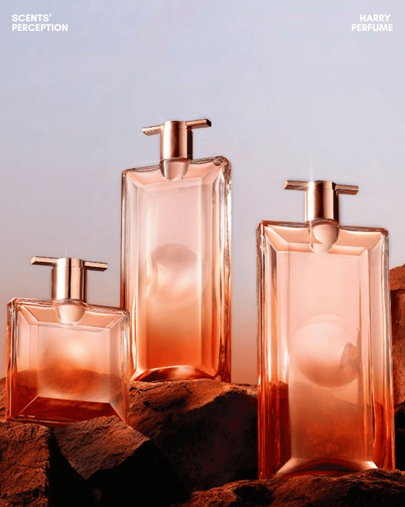 Dry-down của Idôle Now Florale trở nên mềm mại, sạch sẽ và kín đáo, lưu lại sắc hoa nữ tính nhẹ nhàng trên da.