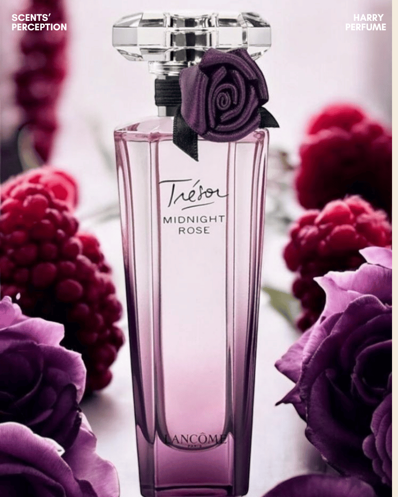 Trésor Midnight Rose mang đến vẻ tinh nghịch, quyến rũ với hoa hồng, trái cây đỏ, vanilla và xạ hương.