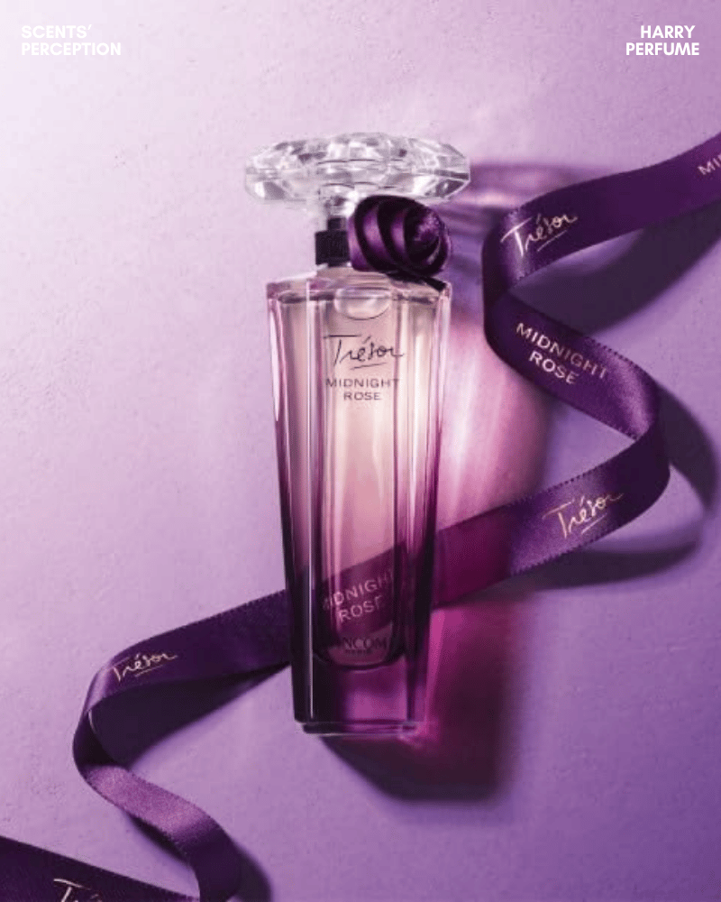 Trésor Midnight Rose có độ lưu hương khá tốt, với raspberry, hoa hồng, vanilla và xạ hương lưu lại mềm mại trên da.