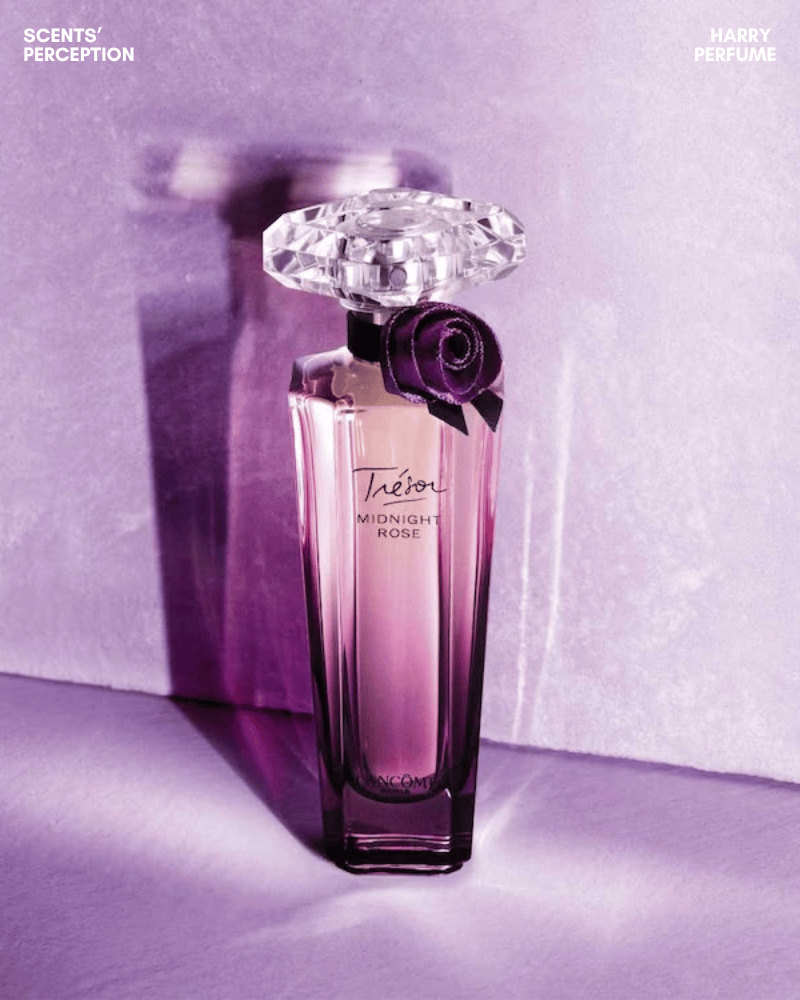 Trésor Midnight Rose trẻ trung, ngọt ngào và tinh nghịch hơn Trésor EDP với raspberry, hoa hồng, vanilla và musk.