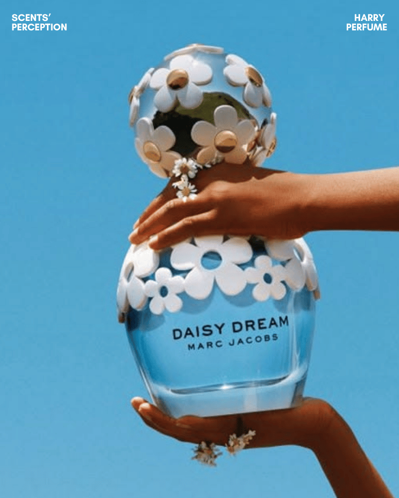 Daisy Dream mở đầu tươi sáng với mâm xôi, lê và bưởi, mang cảm giác ngọt thanh, thoáng sạch, nhẹ.