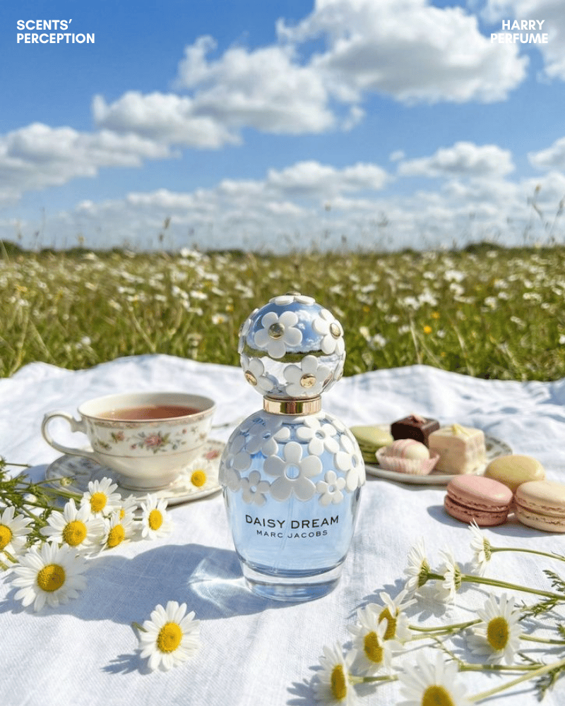 Daisy Dream mang hương trái cây, hoa cỏ và xạ hương nhẹ, tạo cảm giác sạch, nữ tính, dễ gần.