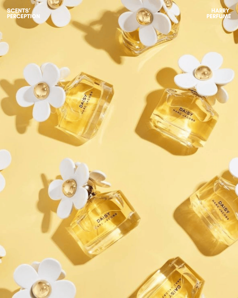 Daisy mở đầu tươi mát với lá violet, bưởi đỏ và dâu tây, gợi khu vườn sáng trong buổi sớm.