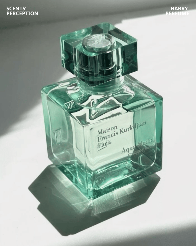 Aqua Media Cologne Forte mang hương xanh, bergamot, matcha và gỗ, trong trẻo, hiện đại, sang trọng mùa hè.