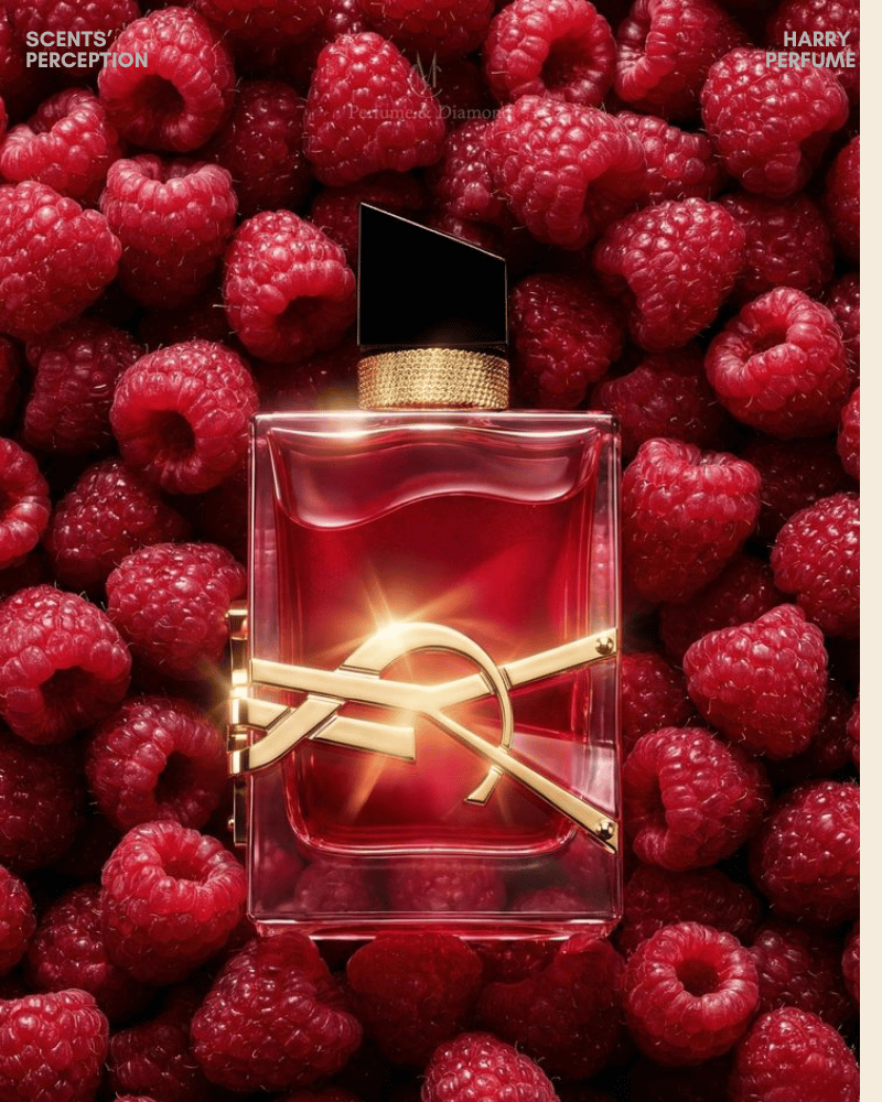 YSL Libre Berry Crush phù hợp với nữ giới thích hương trái cây hoa cỏ ngọt vừa, hiện đại và sang trọng.