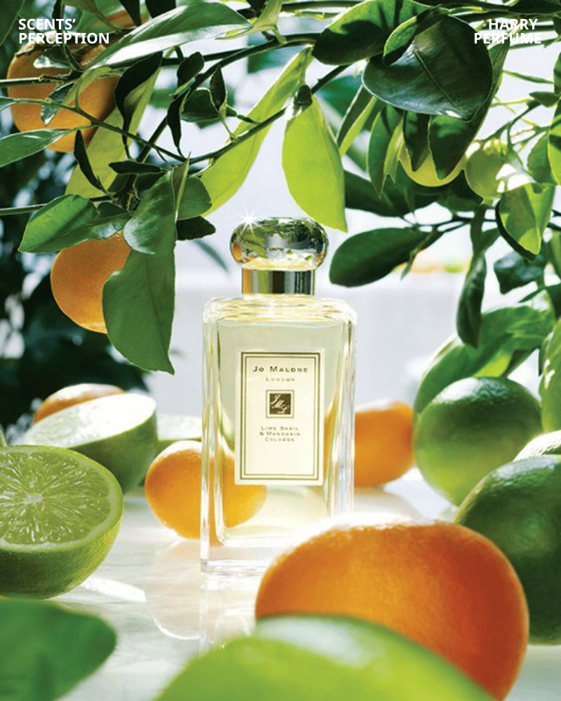 Jo Malone Lime Basil & Mandarin mang hương cam chanh thảo mộc tươi sáng, lịch sự, dễ dùng trong ngày hè nóng.