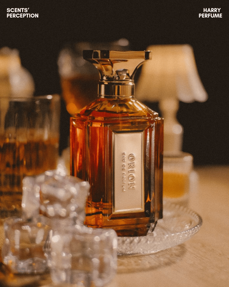 Velixir Orion mang hương ngọt ấm quyến rũ, hòa citrus, quế, vani, praline và nền gỗ xạ hương sang trọng
