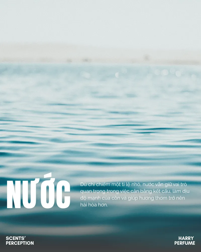 Nước là thành phần giúp cân bằng độ mạnh của cồn, tạo kết cấu hài hòa và giúp hương thơm nước hoa lan tỏa nhẹ nhàng, tự nhiên trên da.
