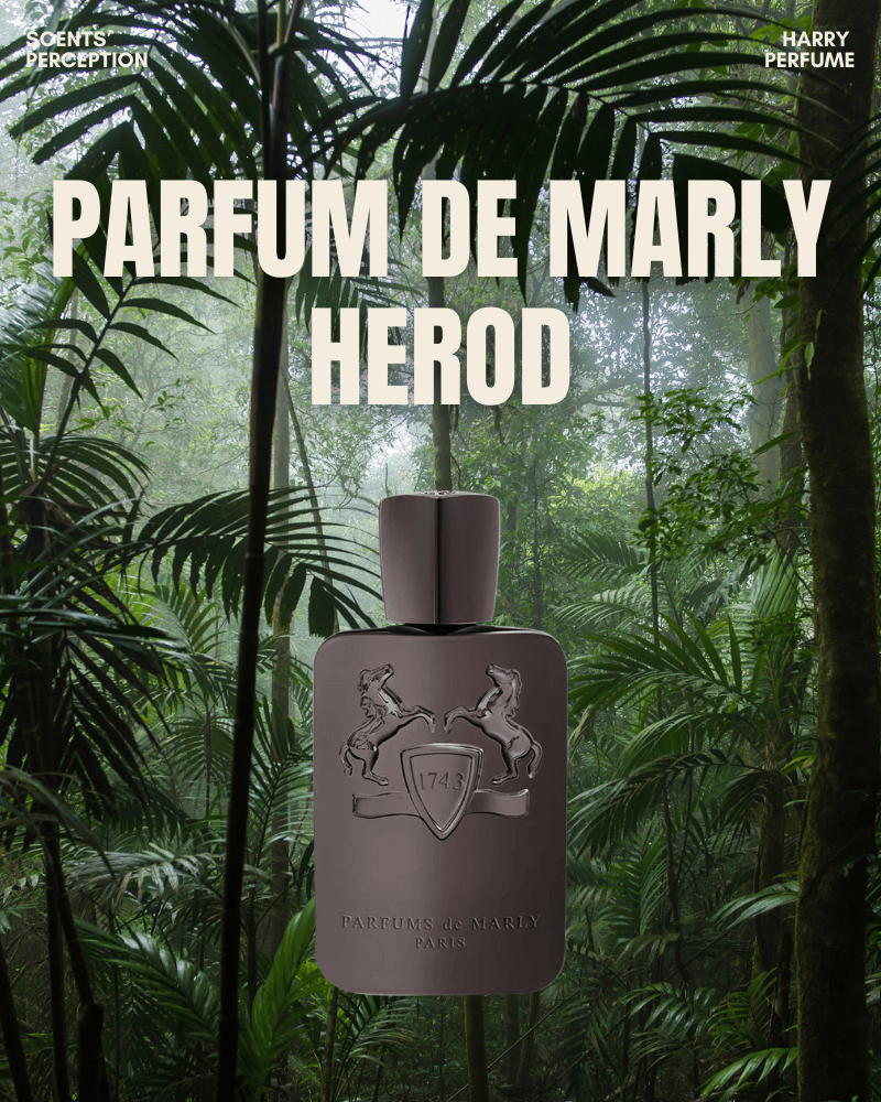 Herod là biểu tượng kinh điển của thuốc lá – vani, mang khí chất trầm tĩnh và phong độ của quý ông thực thụ.