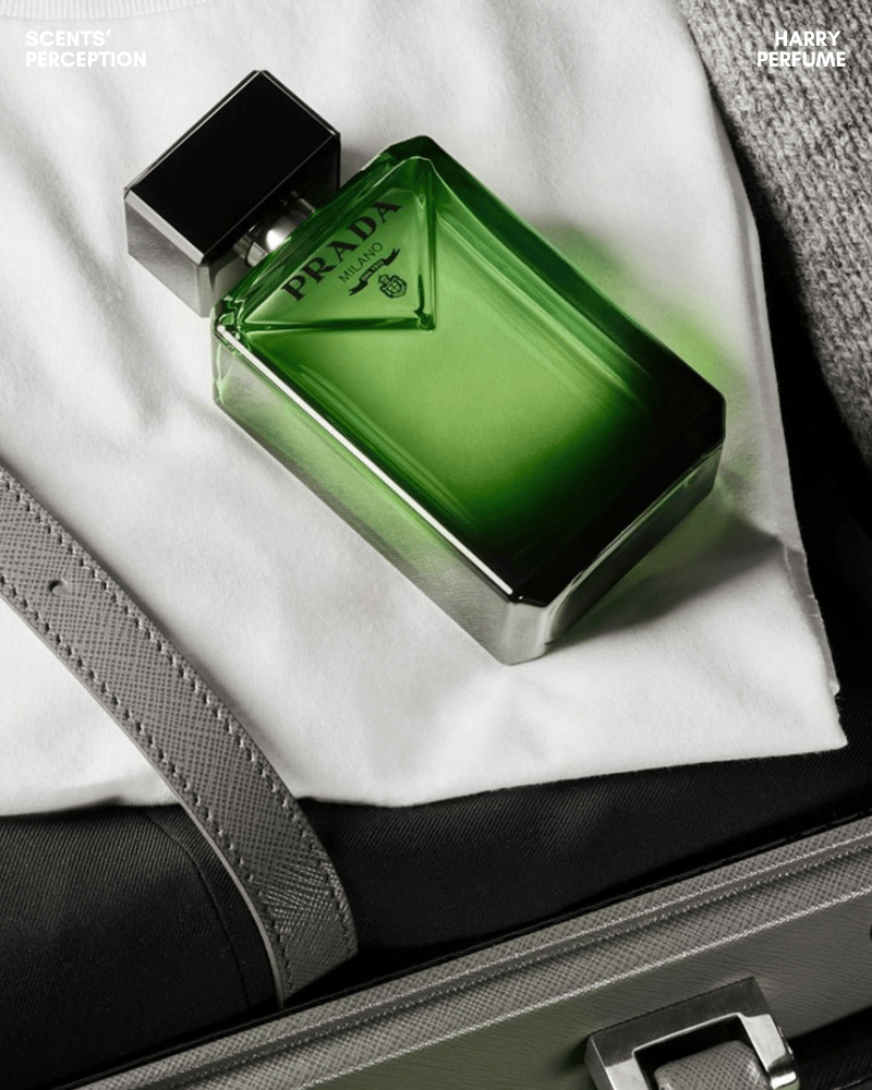 Prada Paradigme EDP hợp nam giới hiện đại, lịch sự, thích mùi sang nhẹ, dễ dùng, chỉn chu hằng ngày.