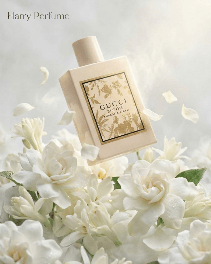 Ginger sáng khô hòa cùng ambrox sạch khoáng, tạo mở đầu thoáng, cay nhẹ, hiện đại và không nặng mùi.