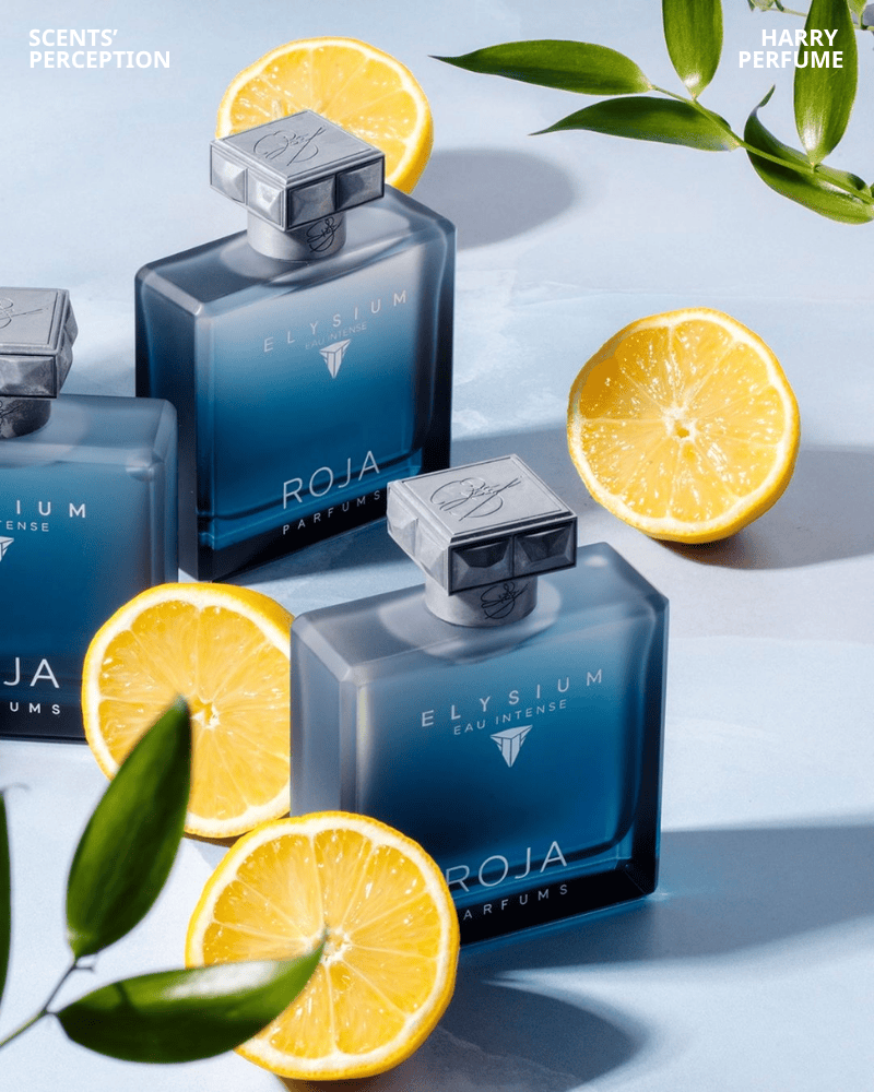 Roja Elysium lưu hương 7–12 giờ, tỏa 1–2m lúc đầu, sau đó ôm da tinh tế, chỉ cảm nhận rõ khi ở gần