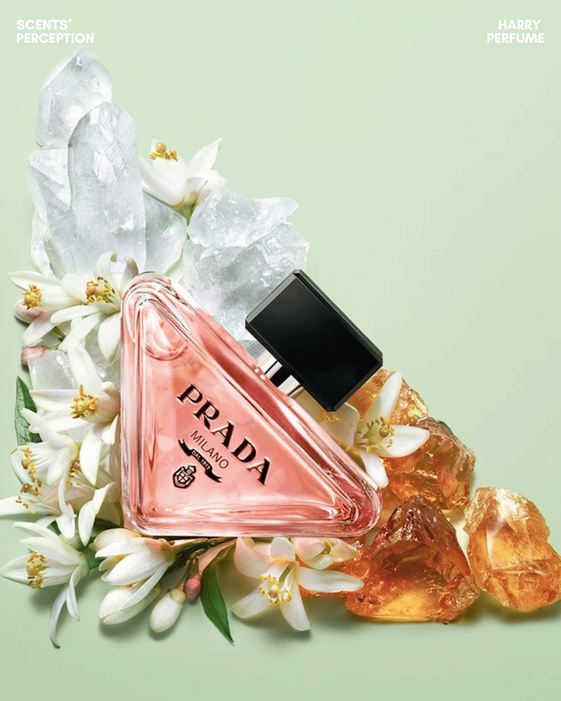 Prada Paradoxe EDP tươi sáng, dễ dùng hằng ngày, còn Intense ấm dày hơn, phù hợp khi muốn nổi bật