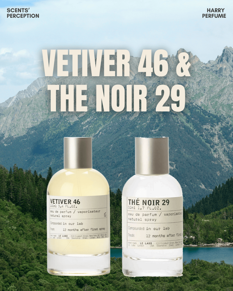 Vetiver 46 và The Noir 29 là điểm đến của những tâm hồn yêu bản sắc, nơi tình yêu được định nghĩa bằng chiều sâu và sự đồng điệu.