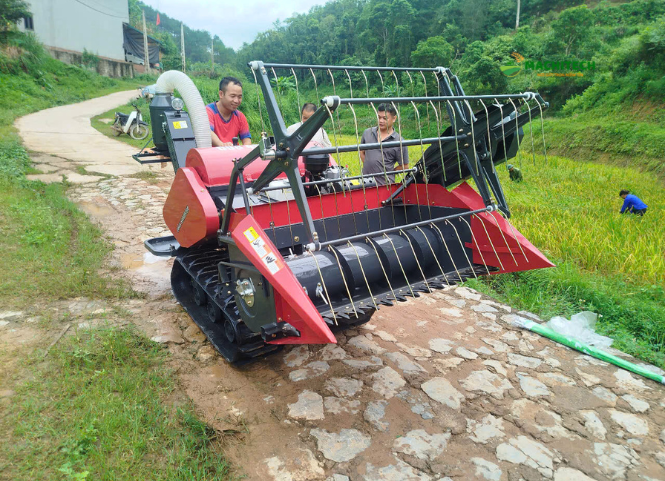 2 dòng máy gặt mini dùng cho ruộng bậc thang 2