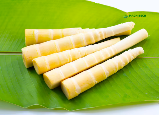 Đặc sản măng le Tây Nguyên 3