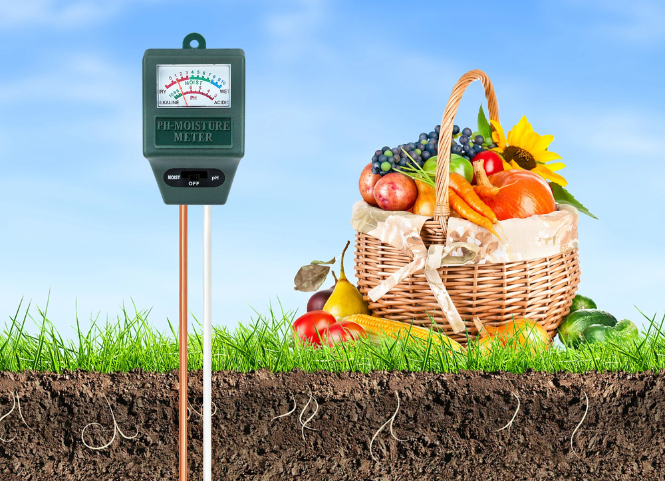 Cách kiểm tra độ pH đất trồng và phương pháp cải tạo đất chua, đất phèn 2