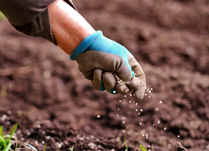 Cách kiểm tra độ pH đất trồng và phương pháp cải tạo đất chua, đất phèn 3