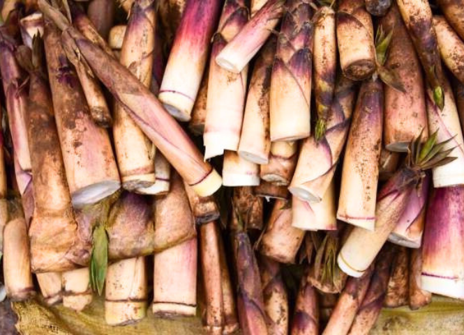 Đặc sản măng đắng níu chân du khách khi đến Điện Biên 2