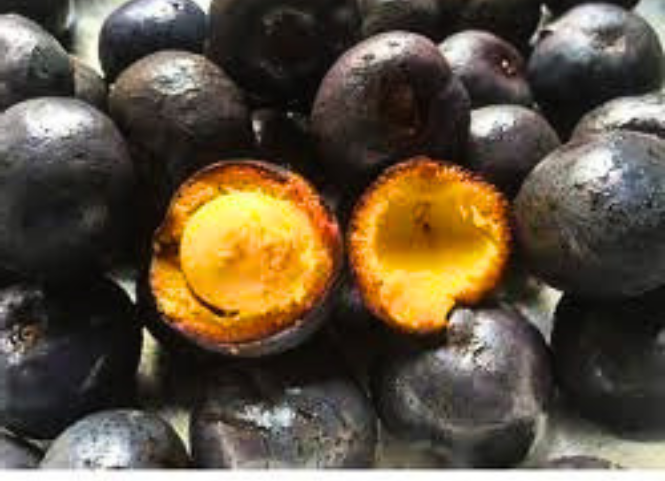 Đặc sản quả cọ Phú Thọ 3