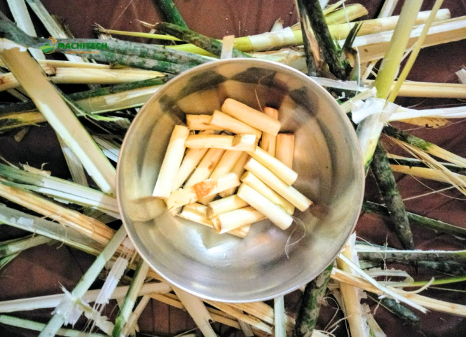 Đọt mây và nét ẩm thực độc đáo của Tây Nguyên 3